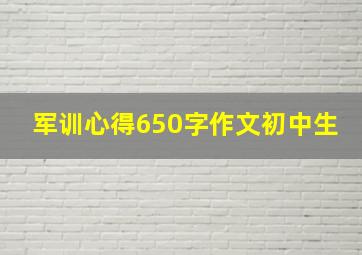 军训心得650字作文初中生