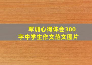 军训心得体会300字中学生作文范文图片