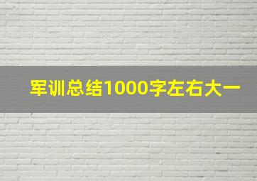 军训总结1000字左右大一