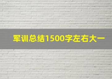 军训总结1500字左右大一