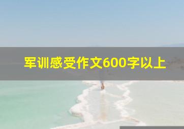 军训感受作文600字以上