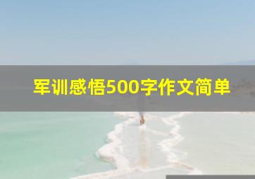 军训感悟500字作文简单