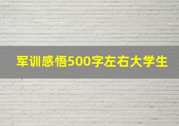 军训感悟500字左右大学生