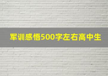 军训感悟500字左右高中生