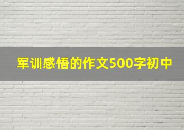 军训感悟的作文500字初中