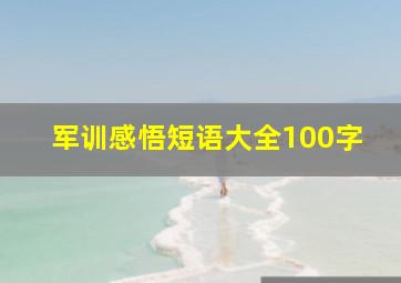 军训感悟短语大全100字