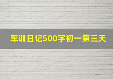 军训日记500字初一第三天