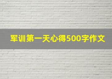 军训第一天心得500字作文