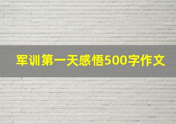 军训第一天感悟500字作文