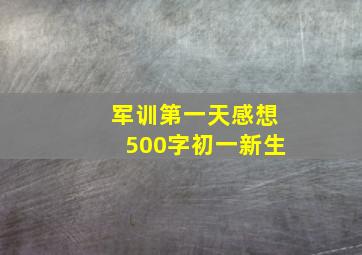 军训第一天感想500字初一新生