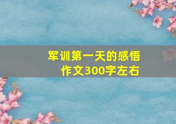 军训第一天的感悟作文300字左右