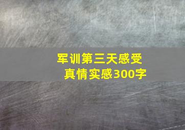 军训第三天感受真情实感300字