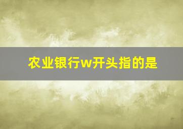 农业银行w开头指的是