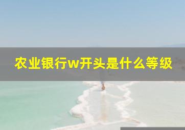 农业银行w开头是什么等级