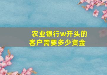 农业银行w开头的客户需要多少资金