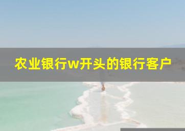 农业银行w开头的银行客户