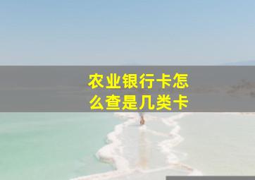 农业银行卡怎么查是几类卡