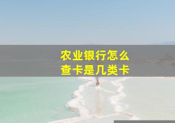 农业银行怎么查卡是几类卡