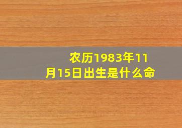 农历1983年11月15日出生是什么命