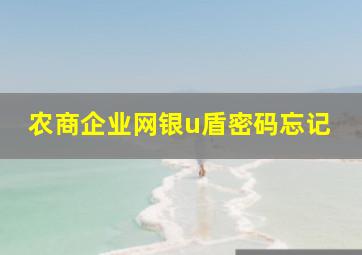 农商企业网银u盾密码忘记