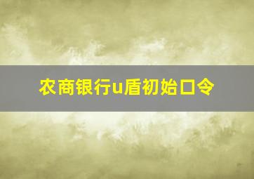 农商银行u盾初始口令