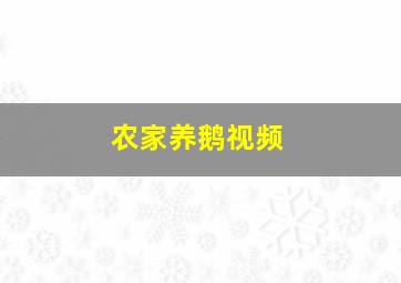 农家养鹅视频