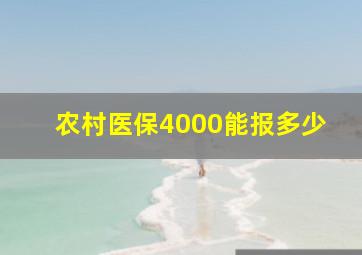 农村医保4000能报多少