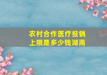 农村合作医疗报销上限是多少钱湖南