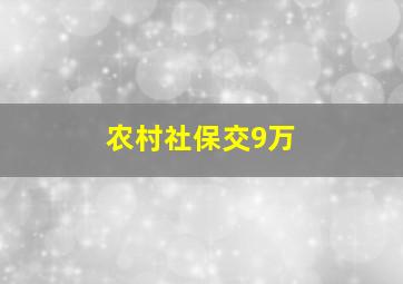 农村社保交9万