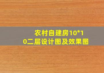 农村自建房10*10二层设计图及效果图