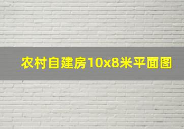 农村自建房10x8米平面图