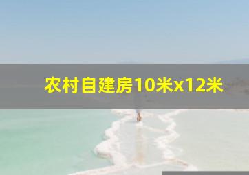 农村自建房10米x12米