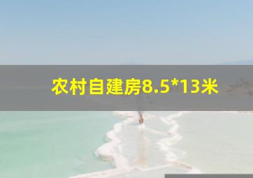 农村自建房8.5*13米