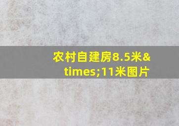 农村自建房8.5米×11米图片