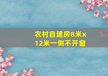 农村自建房8米x12米一侧不开窗