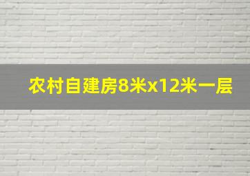 农村自建房8米x12米一层