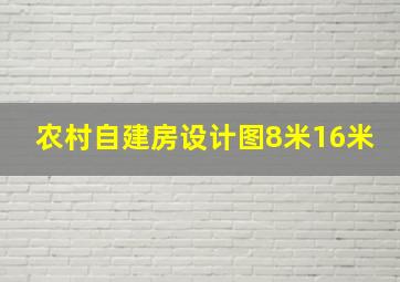 农村自建房设计图8米16米