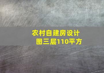 农村自建房设计图三层110平方