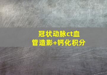 冠状动脉ct血管造影+钙化积分