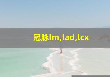 冠脉lm,lad,lcx