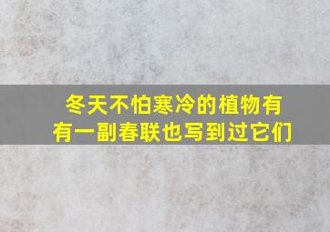 冬天不怕寒冷的植物有有一副春联也写到过它们