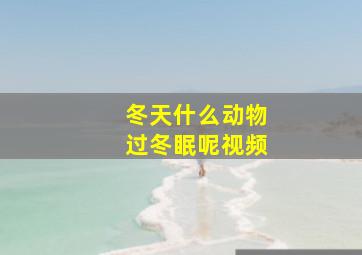 冬天什么动物过冬眠呢视频