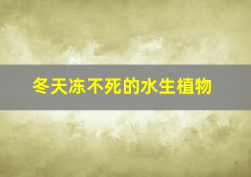 冬天冻不死的水生植物