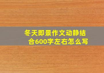 冬天即景作文动静结合600字左右怎么写