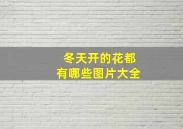 冬天开的花都有哪些图片大全