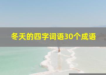 冬天的四字词语30个成语