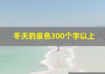 冬天的景色300个字以上