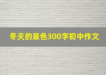 冬天的景色300字初中作文