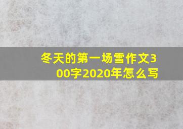 冬天的第一场雪作文300字2020年怎么写