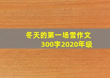 冬天的第一场雪作文300字2020年级